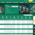 Betwinner Alan Adı