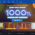 BayMavi Alan Adı
