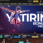 Betasus Alan Adı