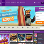 MrOyun Alan Adı