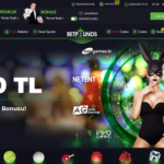 Betpounds alan adı
