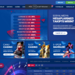 Visionbet alan adı