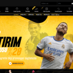 Trwin alan adı