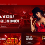 Hovarda alan adı